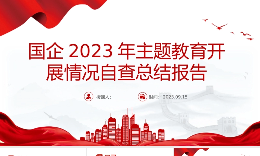 国企2023年主题教育开展情况自查总结报告PPT模板.pptx