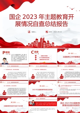 国企2023年主题教育开展情况自查总结报告PPT模板.pptx