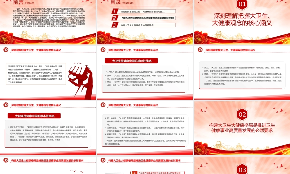 夯实强国建设民族复兴的健康根基PPT简约风学习关于健康中国建设的重要论述课件.pptx
