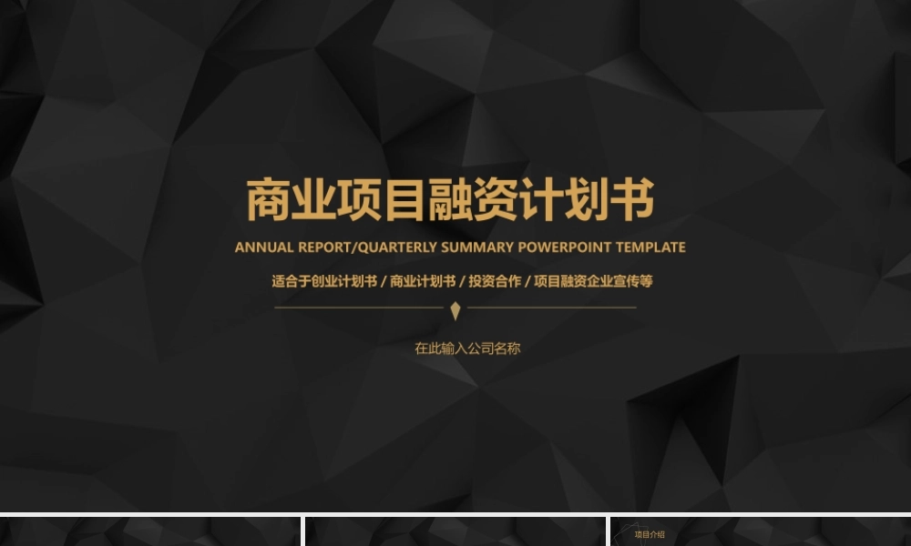 黑金商务策划融资计划书.pptx