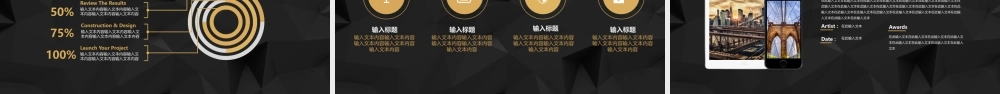 黑金商务策划融资计划书.pptx