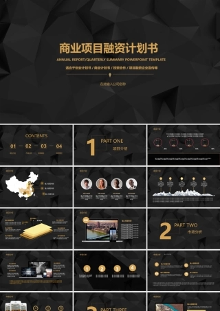 黑金商务策划融资计划书.pptx