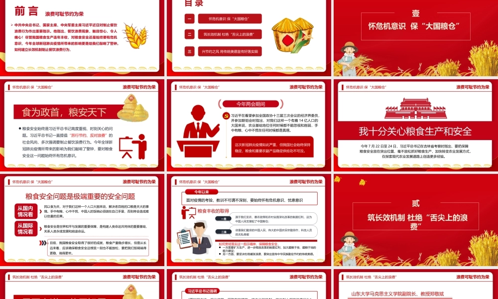 弘扬节俭美德杜绝粮食浪费“小米粒”里的“大民生”ppt.pptx