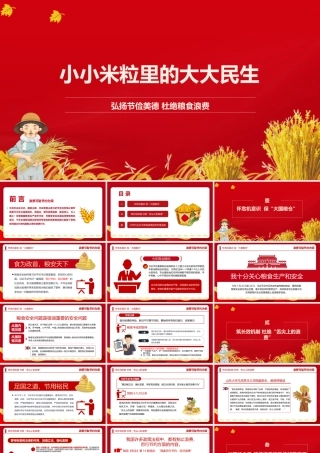 弘扬节俭美德杜绝粮食浪费“小米粒”里的“大民生”ppt.pptx