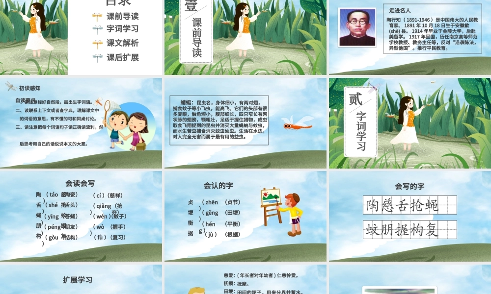 放飞蜻蜓三年级语文课件PPT模版.pptx