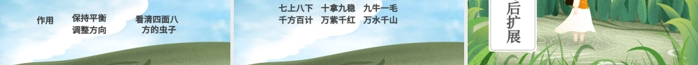 放飞蜻蜓三年级语文课件PPT模版.pptx