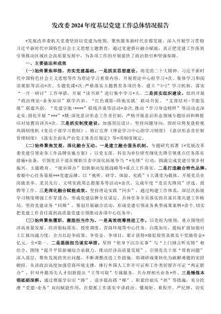 发改委2024年度基层党建工作总体情况报告.doc
