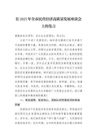 在2025年全市民营经济高质量发展座谈会上的发言.docx