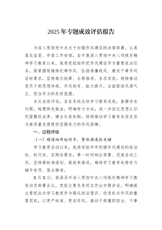 2025年专题成效评估报告.docx
