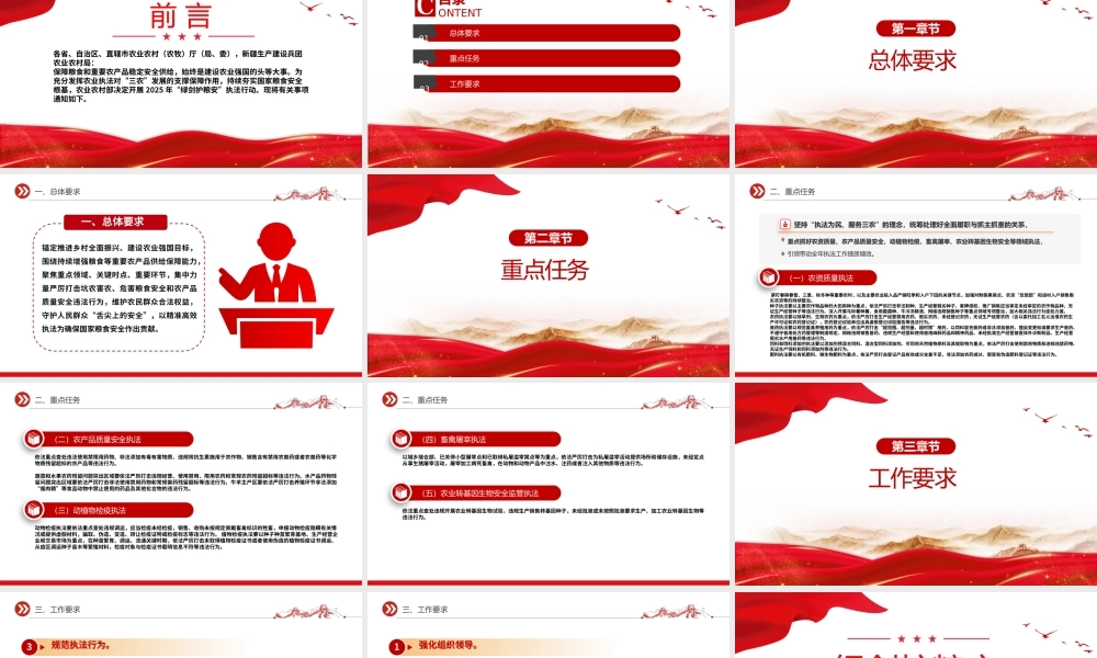 关于开展2025年“绿剑护粮安”执法行动的通知PPT课件.pptx