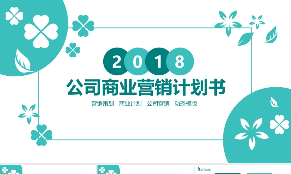 公司商业营销计划书PPT.pptx