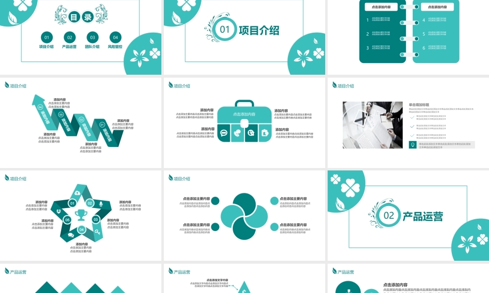 公司商业营销计划书PPT.pptx