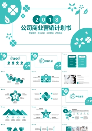 公司商业营销计划书PPT.pptx