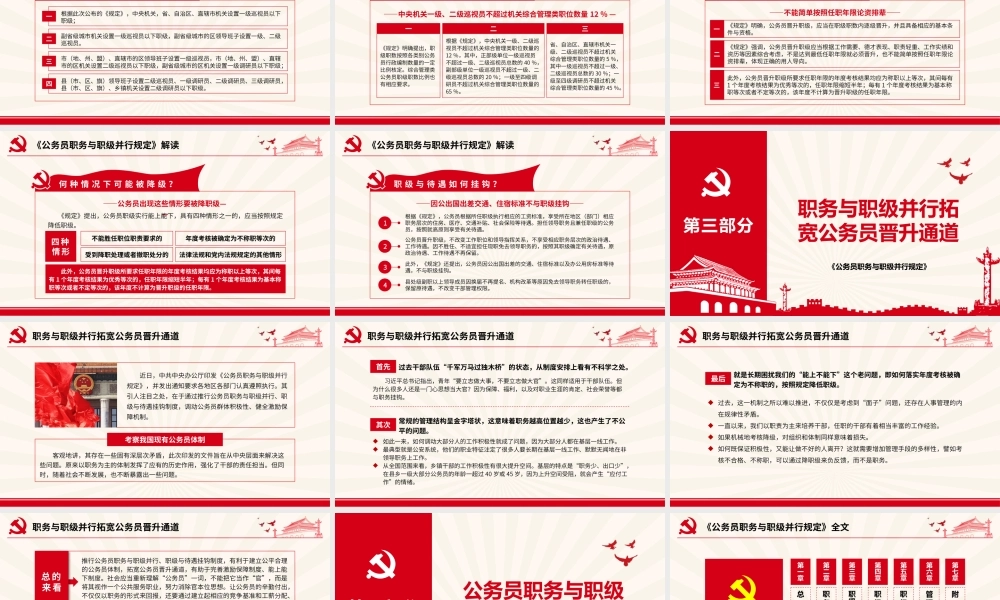 公务员职务与职级并行规定  无动画.pptx