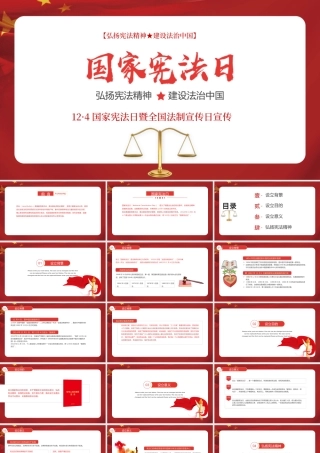 法制宣传国家宪法日PPT模板.pptx