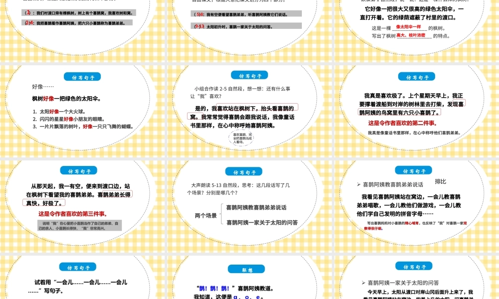 二年级下册语文课件枫树上的喜鹊PPT模板.pptx