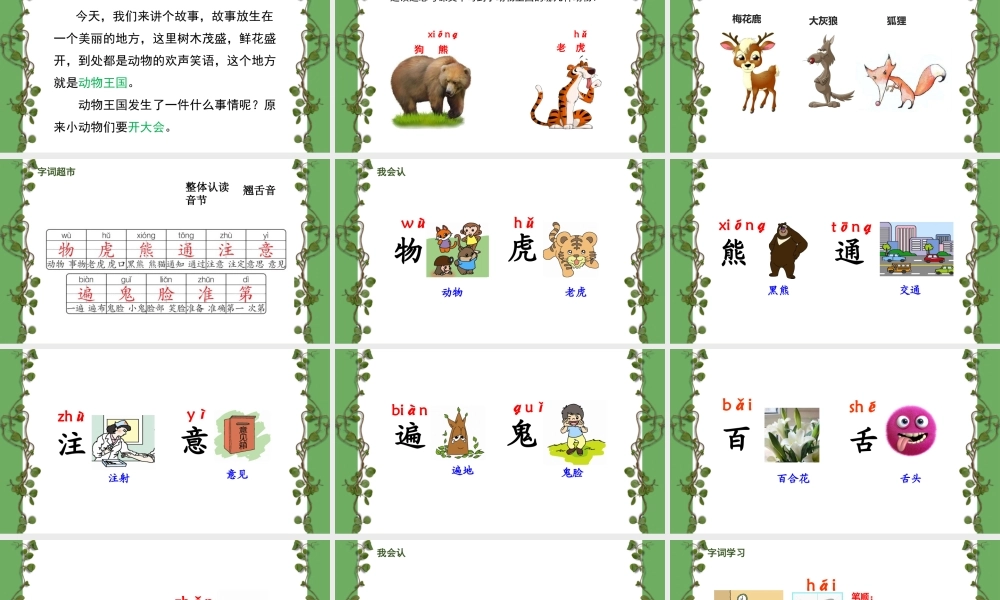 动物王国开大会.pptx