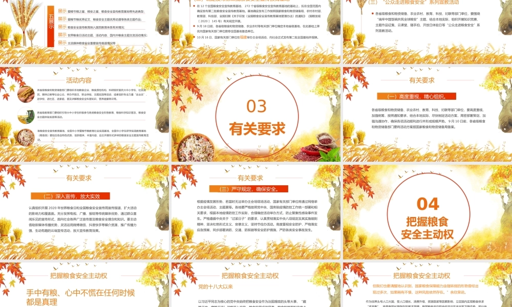 端牢中国饭碗共筑全球粮安世界粮食日宣传周PPT模板.pptx
