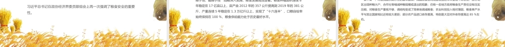 端牢中国饭碗共筑全球粮安世界粮食日宣传周PPT模板.pptx