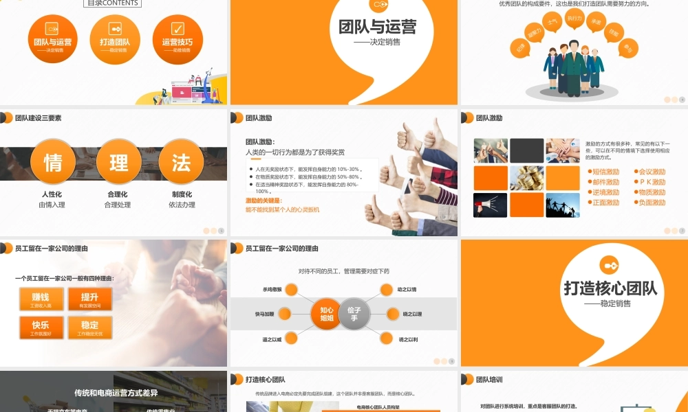 电商创业团队运营方案及团队管理技巧PPT.pptx