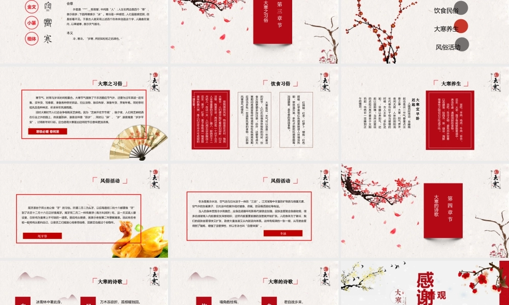 冬季中国风二十四节气之大寒PPT模板.pptx