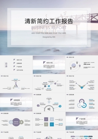 淡雅简约工作报告PPT模板.pptx