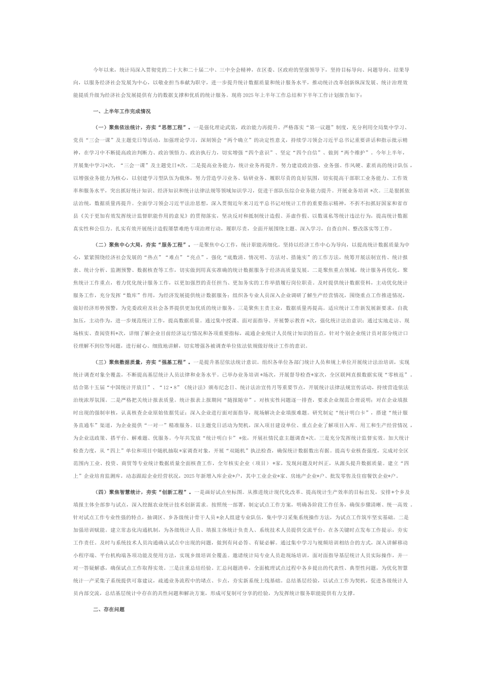 统计局2025年上半年工作总结和下半年工作计划.docx_第1页