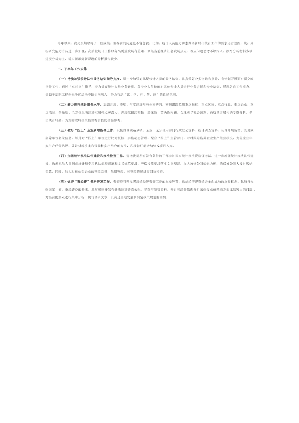 统计局2025年上半年工作总结和下半年工作计划.docx_第2页