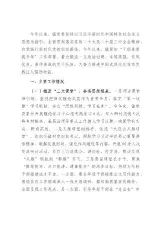 乡镇2025年上半年干部队伍建设工作总结.docx