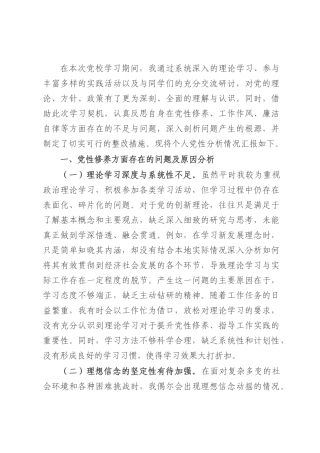 县委副书记、县长党校学习个人党性分析材料.docx
