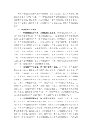 镇党委执行“三重一大”制度自查报告.docx