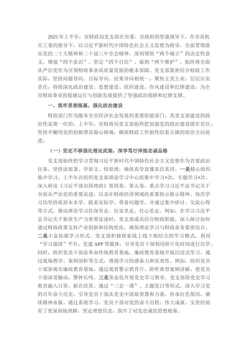 市财政局党支部2025年上半年全面从严治党工作报告.docx_第1页