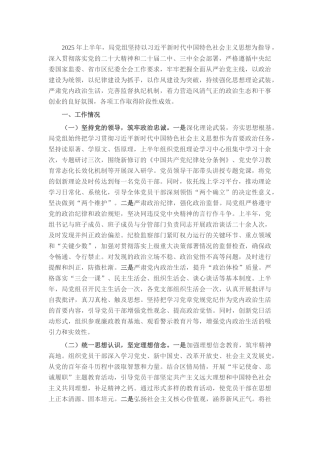 区局2025年上半年全面从严治党工作报告及下一步工作谋划.docx