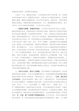 年轻干部在2025年青年座谈会上的发言.docx