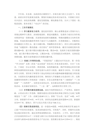乡政府2025年上半年工作总结.docx