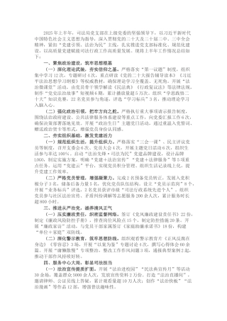 司法局党支部2025年上半年工作总结和下半年工作计划.docx