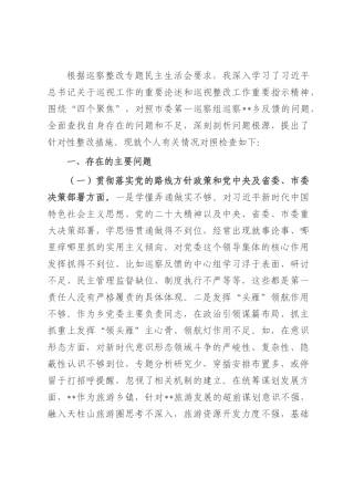 乡镇党委书记2025年巡察整改专题民主生活会个人发言提纲.docx