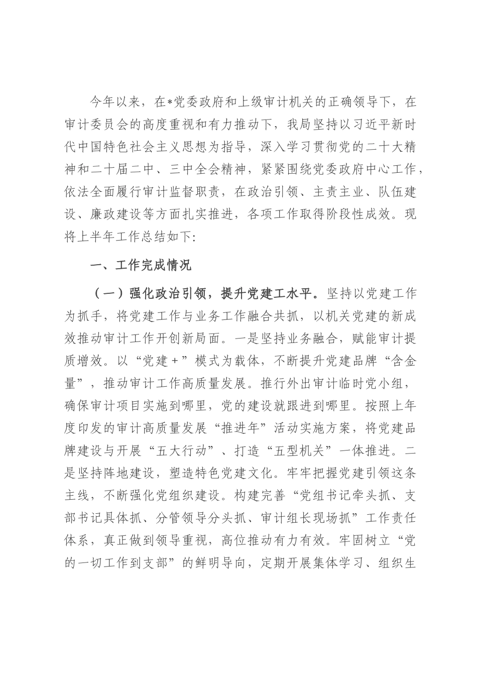 某审计局2025年上半年工作总结及2025年下半年工作计划.docx_第1页