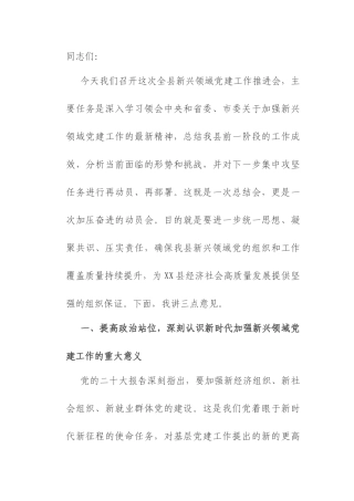 在2025年县委新兴领域党建工作推进会上的讲话.docx