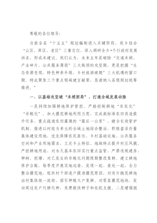 某乡在全县“十五五”规划编制座谈会的发言.docx