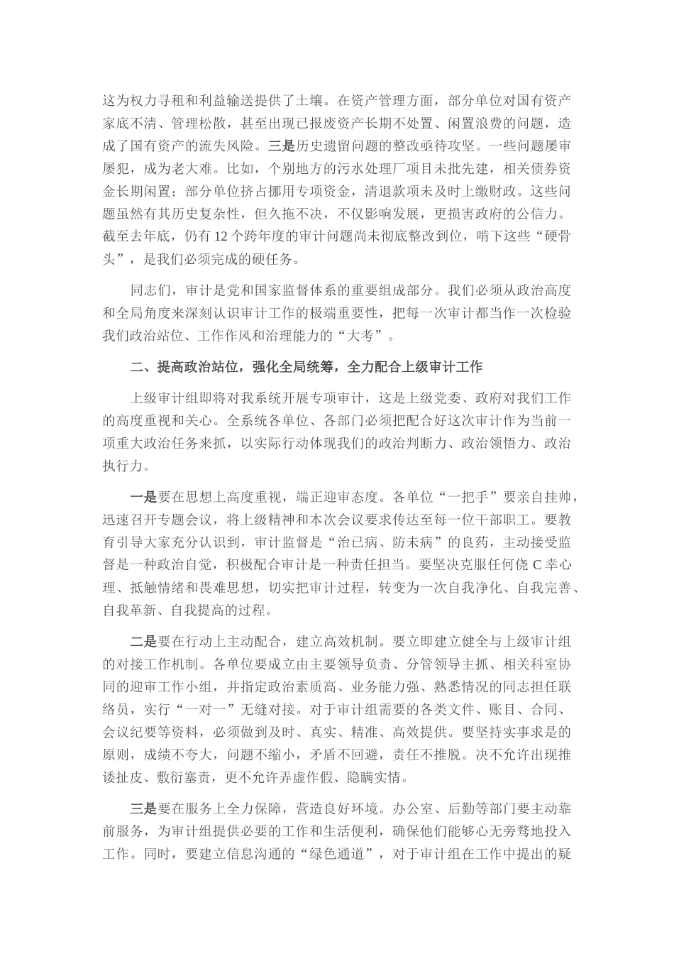 在2025年政府系统审计工作会议上的讲话.docx_第2页