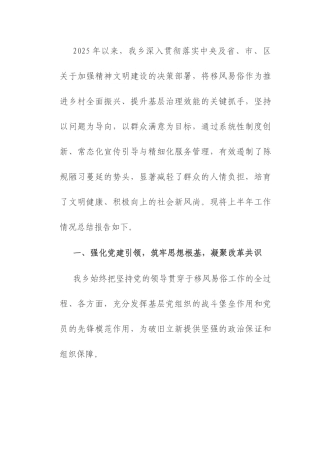 乡政府关于2025年上半年移风易俗工作情况的总结报告.docx
