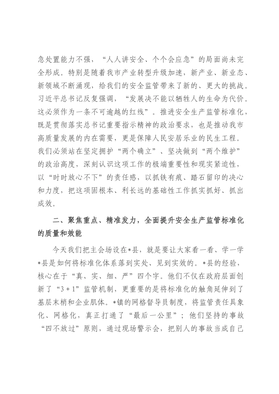 在2025年全市安全生产监管标准化工作体系现场视频推进会上的讲话.docx_第3页