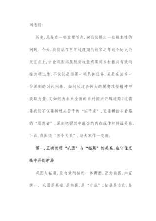 在2025年全县巩固拓展脱贫攻坚成果同乡村振兴有效衔接工作会议上的讲话.docx