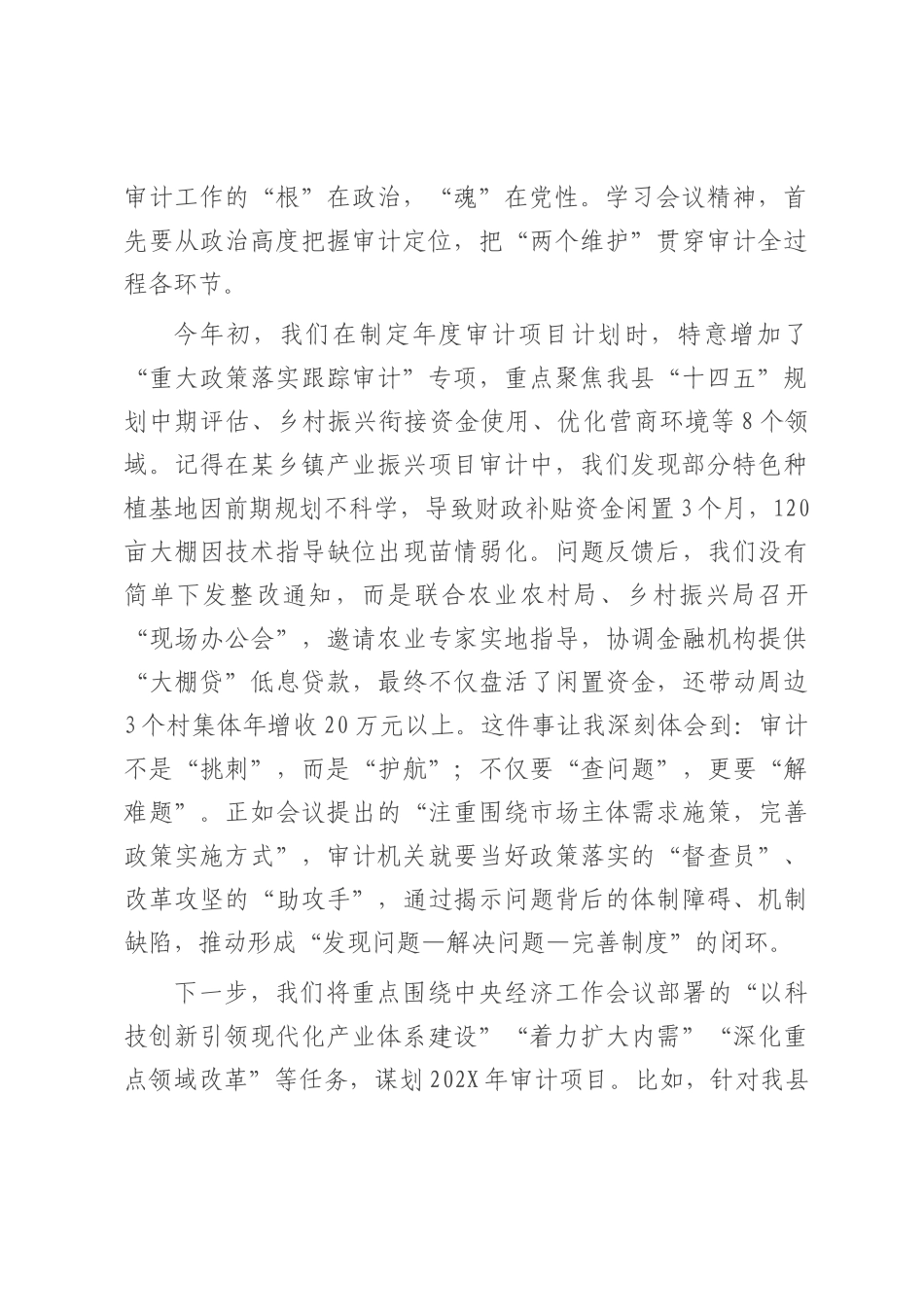 在全县审计系统学习贯彻中央经济工作会议精神专题交流会上的发言.docx_第2页
