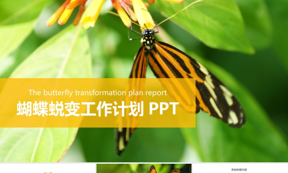 蝴蝶蜕变商务工作计划通用PPT模板.pptx