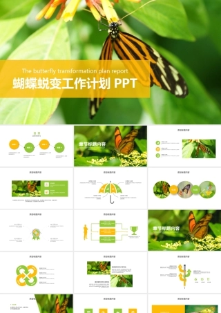 蝴蝶蜕变商务工作计划通用PPT模板.pptx
