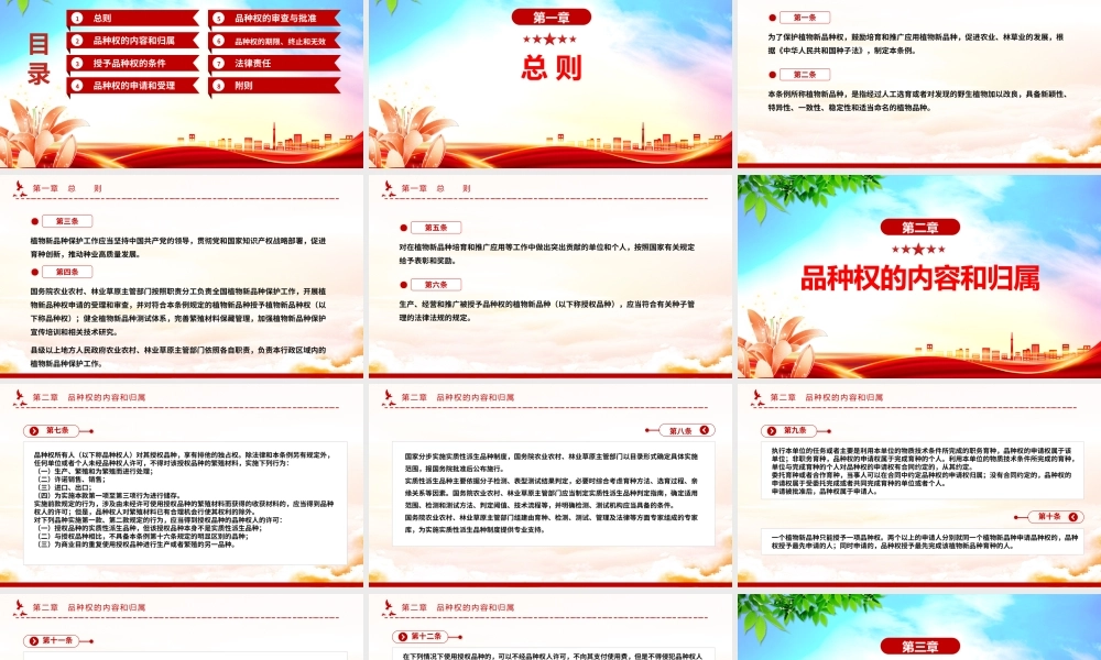 简洁大气《植物新品种保护条例》PPT法律法规课件.pptx