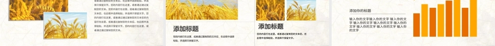 金秋农业水稻新农村小麦农田丰收PPT模板.pptx