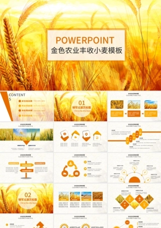 金秋农业水稻新农村小麦农田丰收PPT模板.pptx